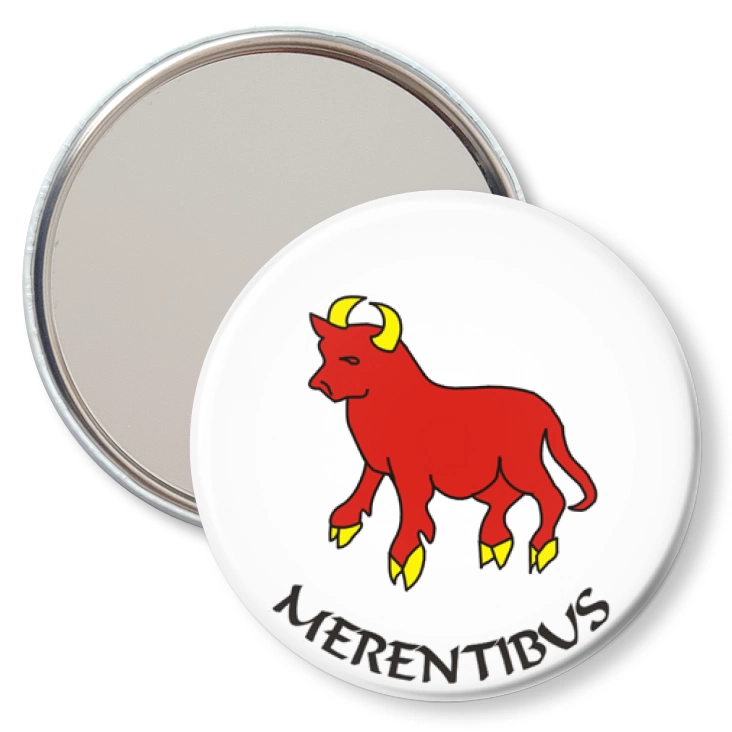 przypinka lusterko MERENTIBUS