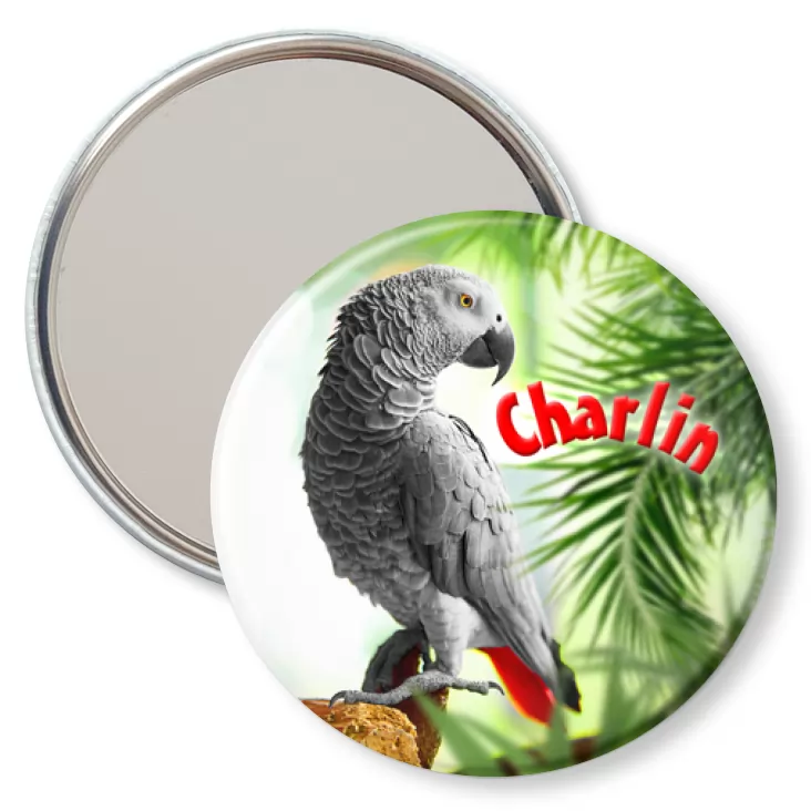 przypinka lusterko Papugarnia Carmen - Charlin