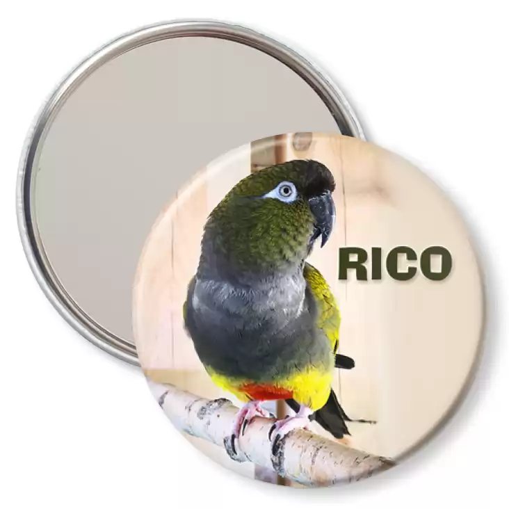 przypinka lusterko Rico