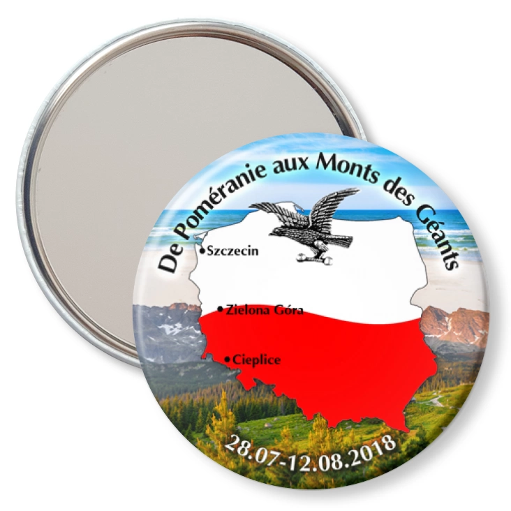 przypinka lusterko Sokół
