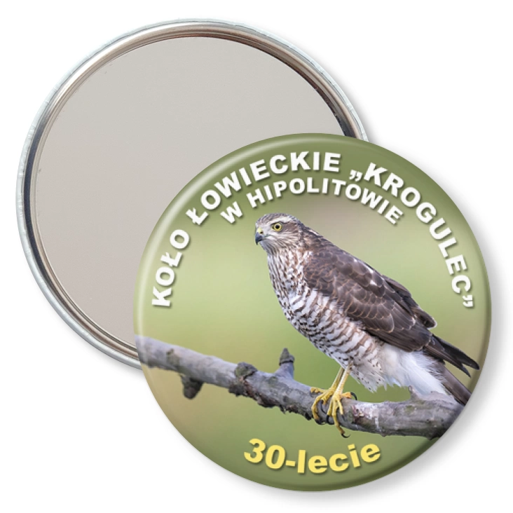 przypinka lusterko Krogulec