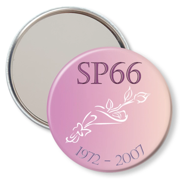 przypinka lusterko SP 66 w Poznaniu