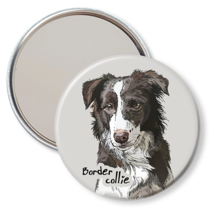 przypinka lusterko Border collie