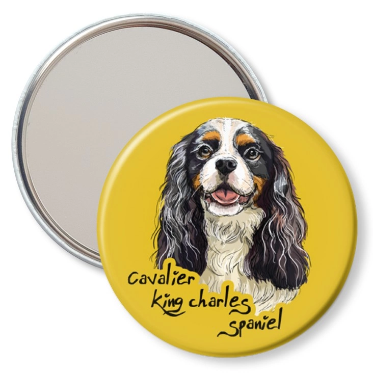 przypinka lusterko Cavalier king charles spaniel