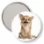 Przypinka lusterko Pies Chihuahua