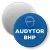 Przypinka magnes Audytor BHP