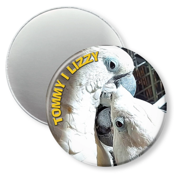 przypinka magnes Papugi Tommy i Lizy