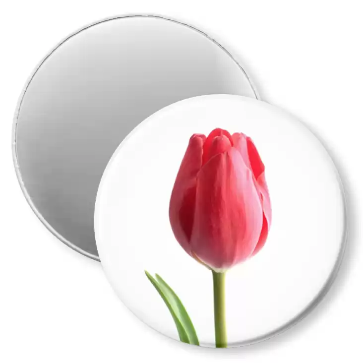 przypinka magnes Tulipan