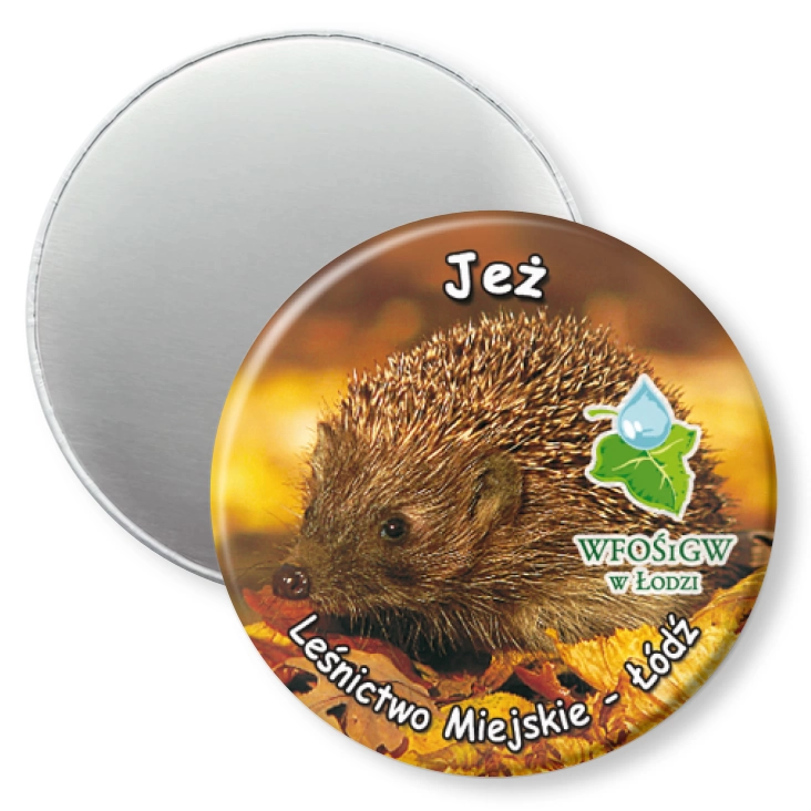 przypinka magnes Jeż
