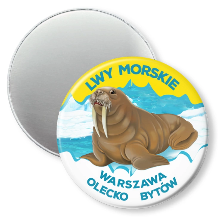 przypinka magnes Lwy Morskie