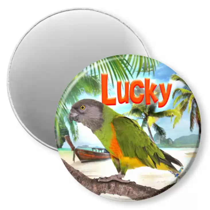 przypinka magnes Papugarnia Carmen - Lucky