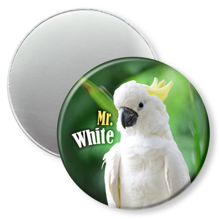 przypinka magnes Papugarnia Carmen - Mr. White