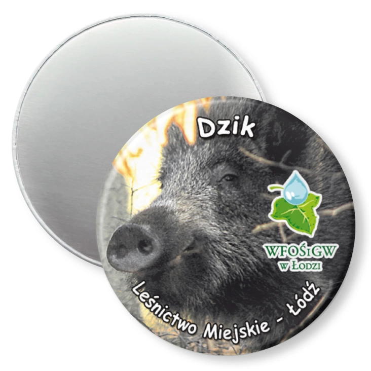 przypinka magnes Dzik