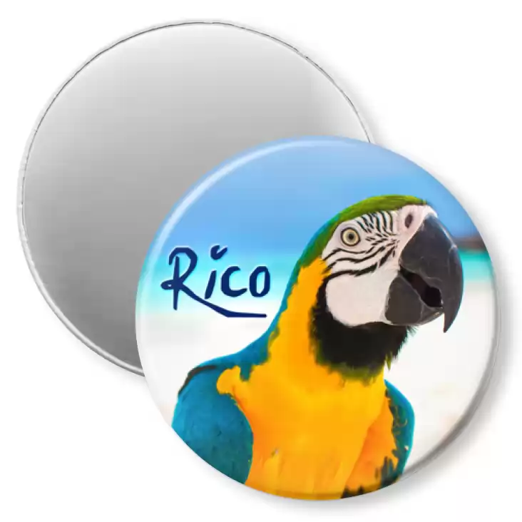 przypinka magnes Papugarnia Carmen - Rico