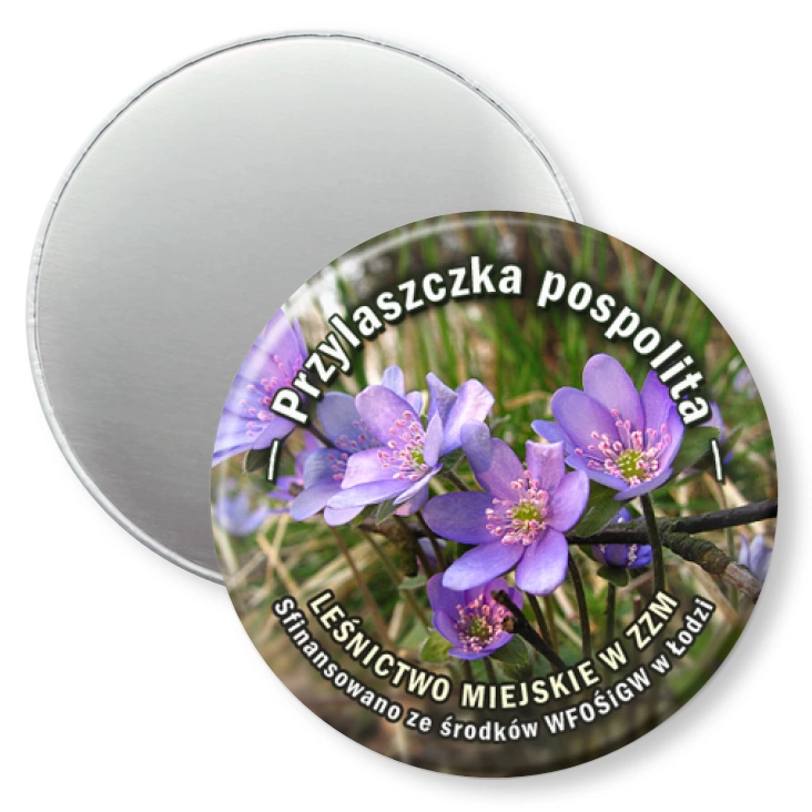przypinka magnes Przylaszczka pospolita