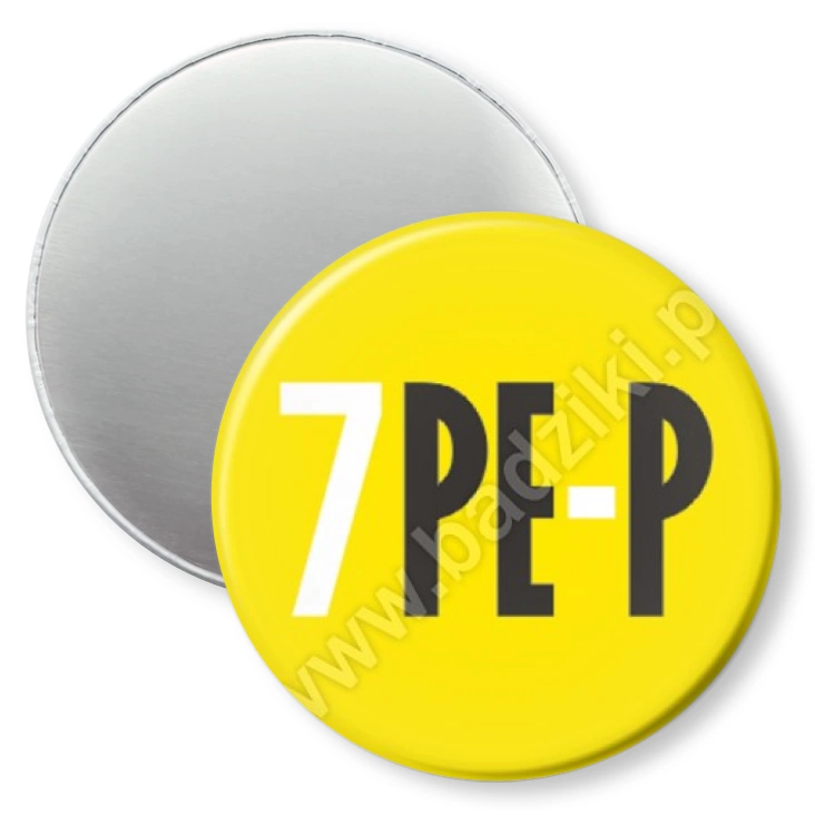 przypinka magnes Akademia Sztuk Pięknych w Poznaniu