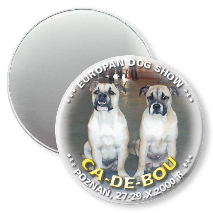 przypinka magnes CE-DE-BOU
