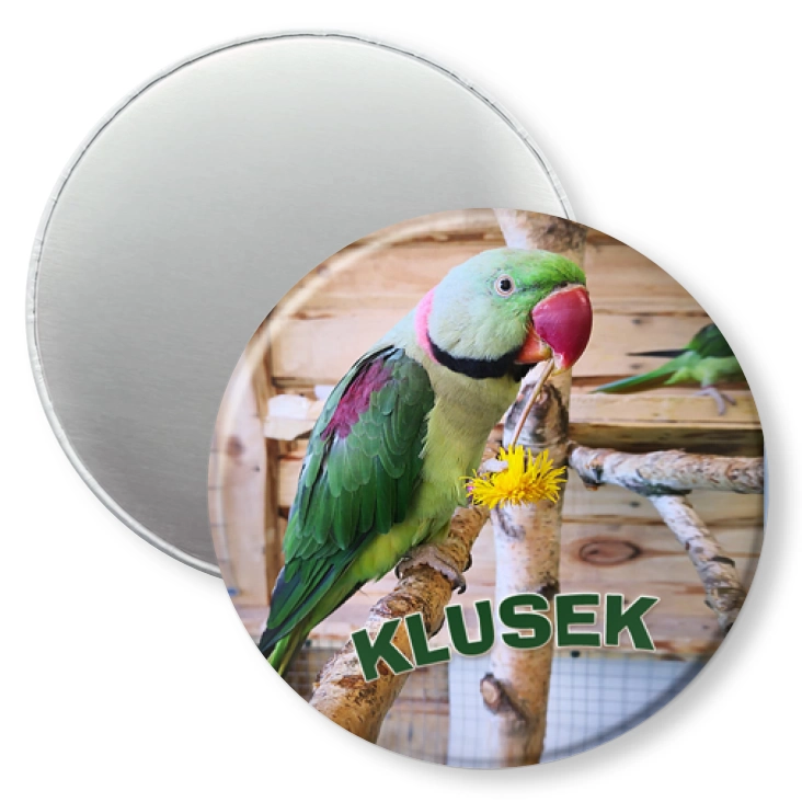 przypinka magnes Klusek