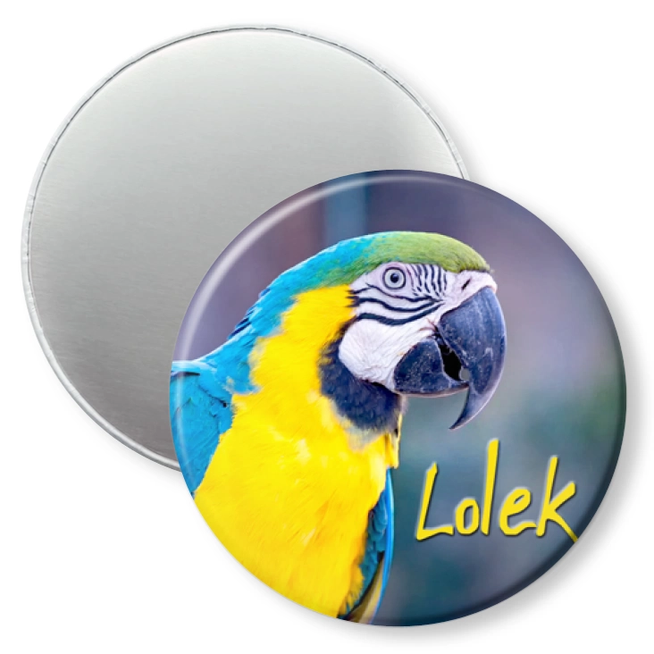 przypinka magnes Papugarnia Carmen - LOLEK