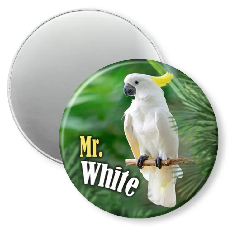 przypinka magnes Papugarnia Carmen - Mr. White