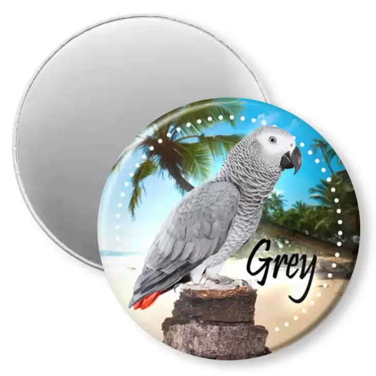 przypinka magnes Papugarnia Carmen - Grey