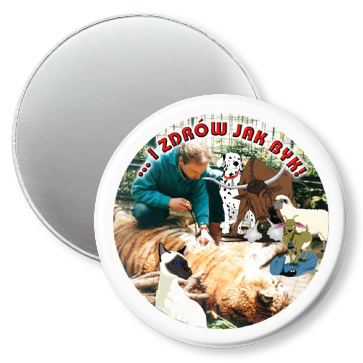 przypinka magnes ...I zdrów jak byk!