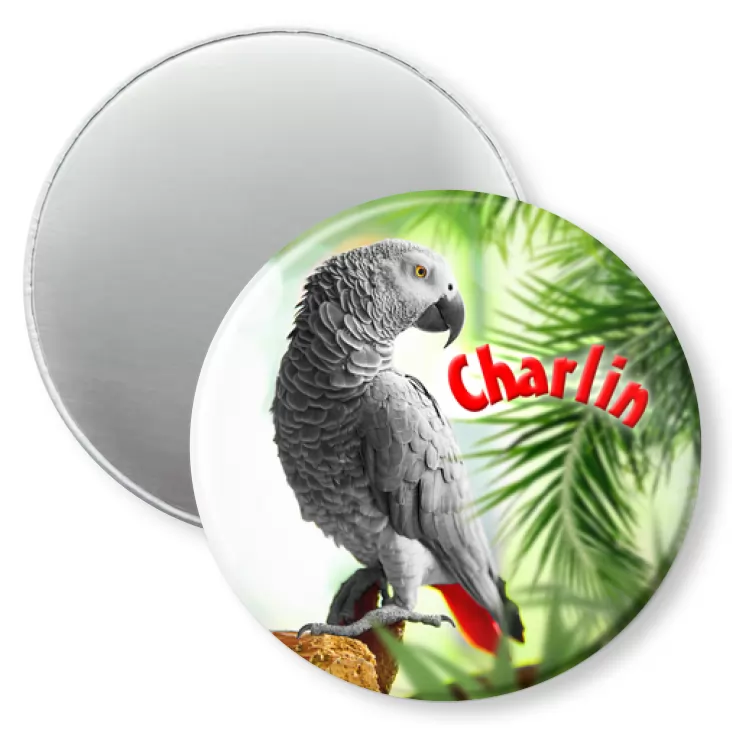 przypinka magnes Papugarnia Carmen - Charlin