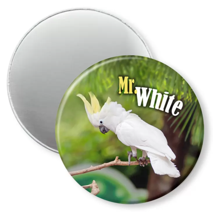 przypinka magnes Papugarnia Carmen - Mr. White