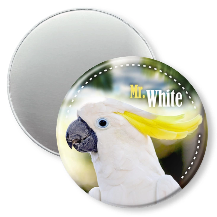 przypinka magnes Papugarnia Carmen - Mr. White