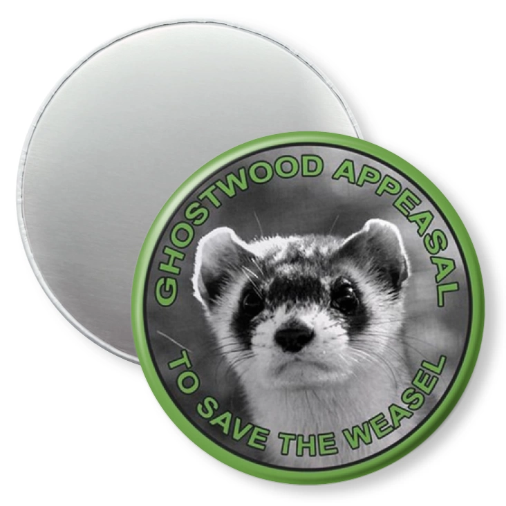 przypinka magnes Ghostwood