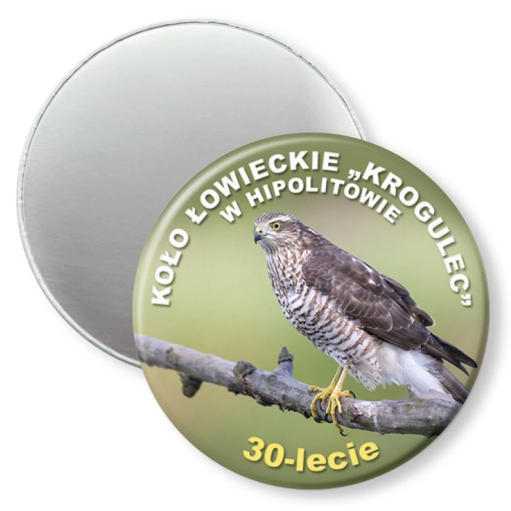 przypinka magnes Krogulec