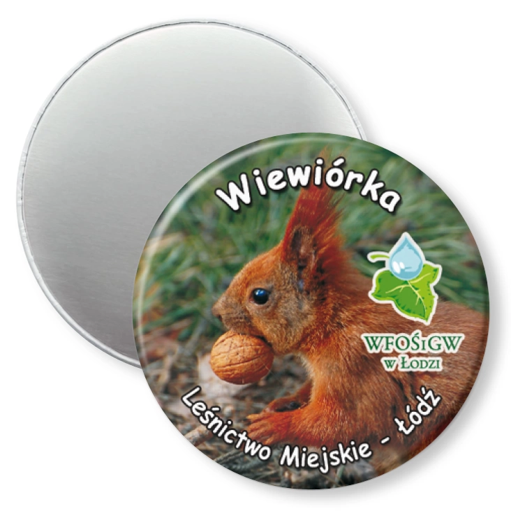 przypinka magnes Wiewiórka