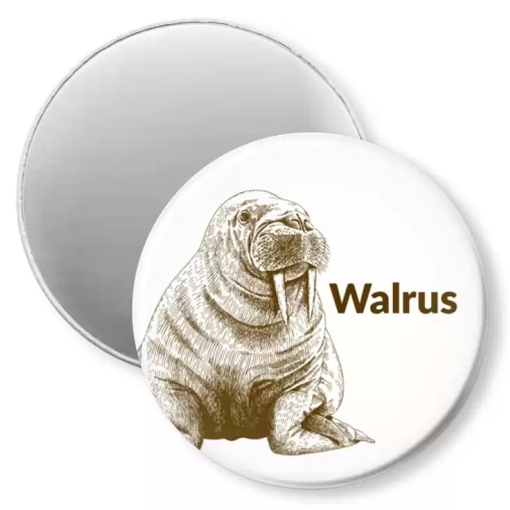 przypinka magnes Walrus