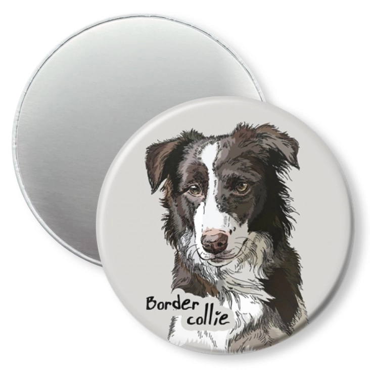 przypinka magnes Border collie