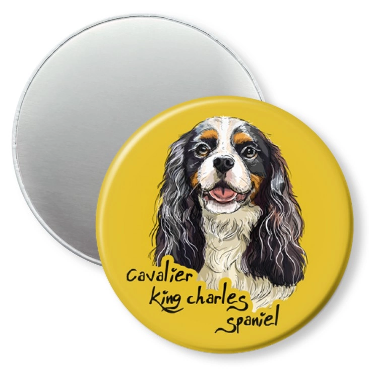 przypinka magnes Cavalier king charles spaniel