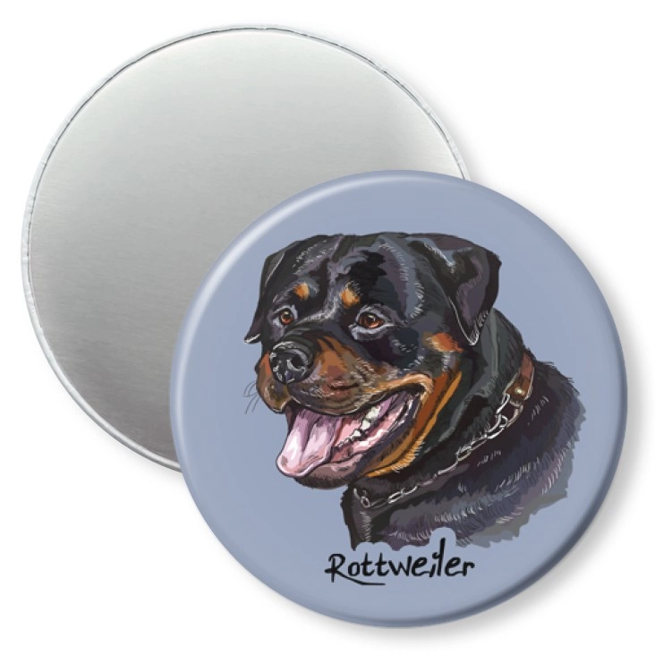 przypinka magnes Rottweiler