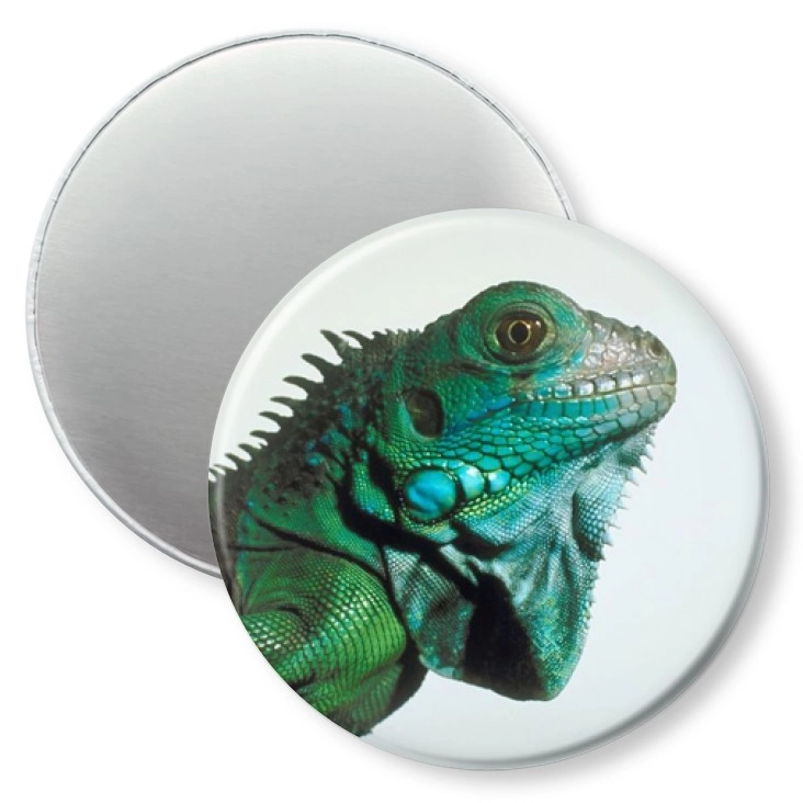 przypinka magnes Kameleon
