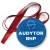 Przypinka medal Audytor BHP
