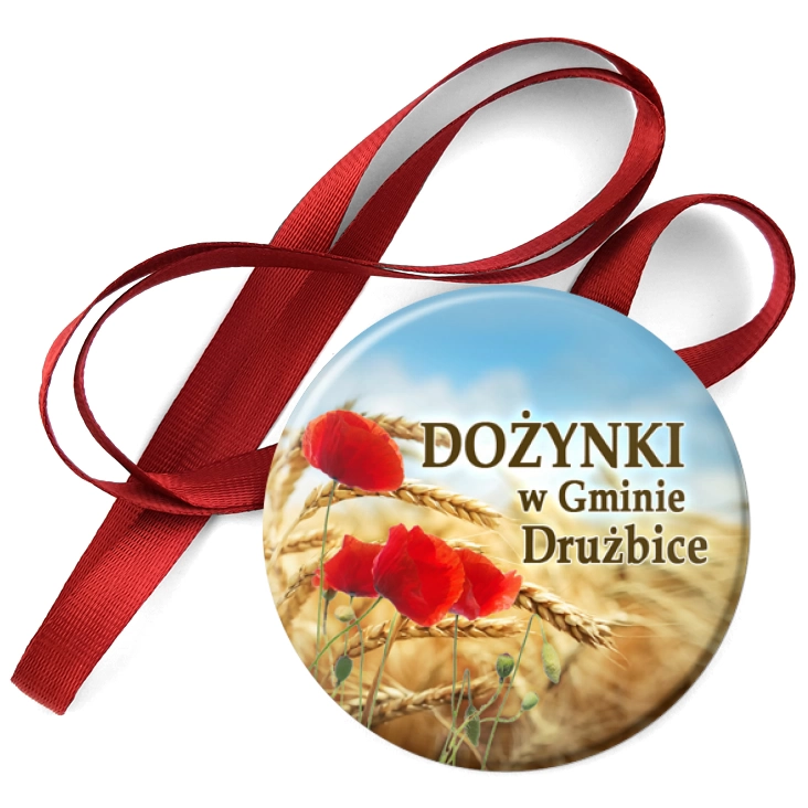 przypinka medal Dożynki w Gminie Drużbice