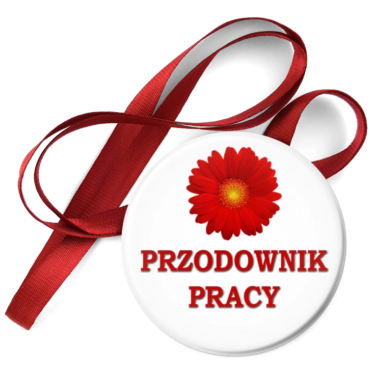 przypinka medal Przodownik pracy