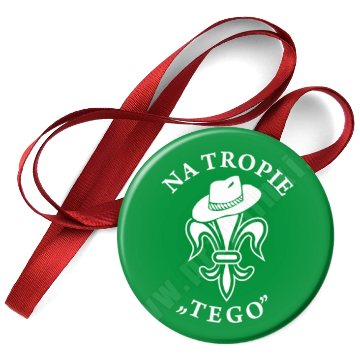 przypinka medal Na tropie TEGO