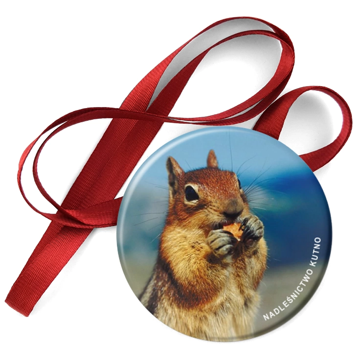 przypinka medal Nadleśnictwo Kutno