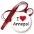 Przypinka medal I love Annopol