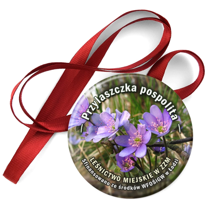 przypinka medal Przylaszczka pospolita
