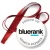 Przypinka medal Bluerank search experts