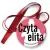 Przypinka medal Czyta elita