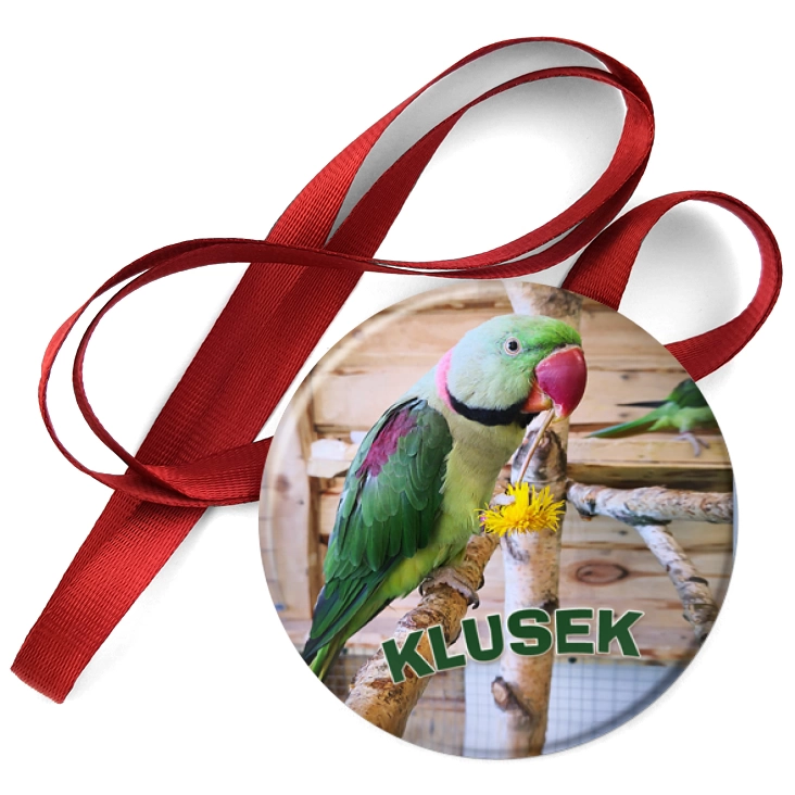 przypinka medal Klusek