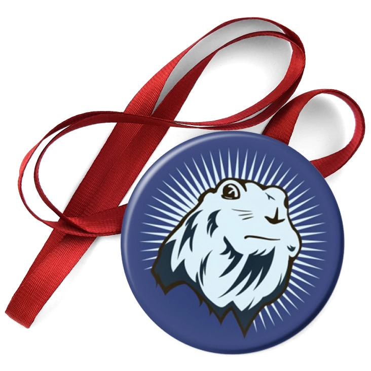 przypinka medal Bóbr
