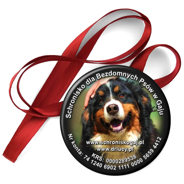 przypinka medal Schronisko dla Bezdomnych Psów w Gaju