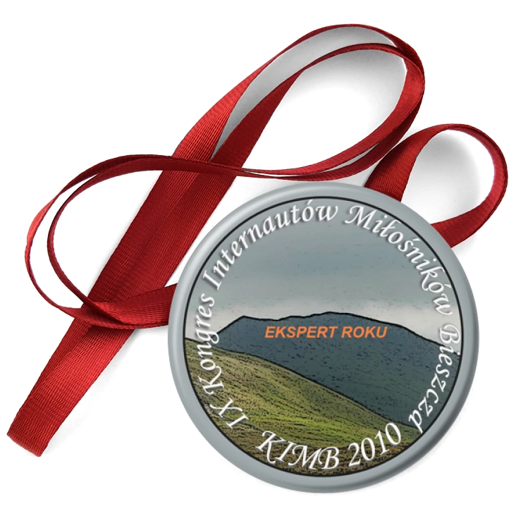 przypinka medal KIMB 2010 - ekspert roku